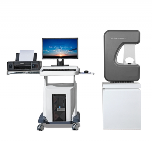 YSDXA-800E DXA Bone Densitometry Bone Density Scanning Dual-Energy X ...